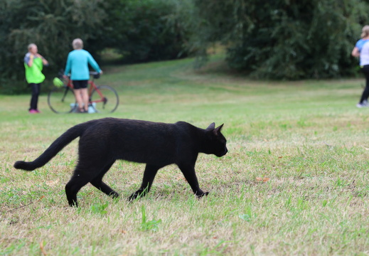 EFT2024 09 09 6T7A0193