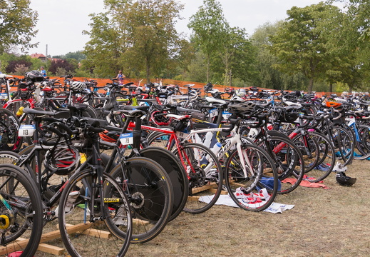 Erfurt Triathlon 2019 024.08.2019 076