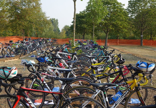 Erfurt Triathlon 2019 08 25 DSC05764