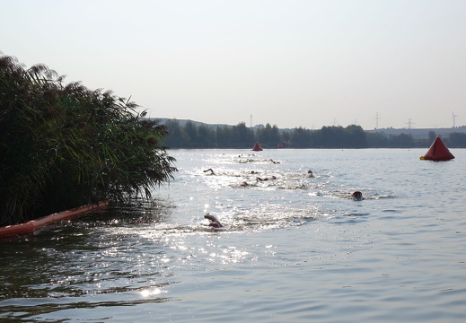 Erfurt Triathlon 2019 08 25 DSC05884